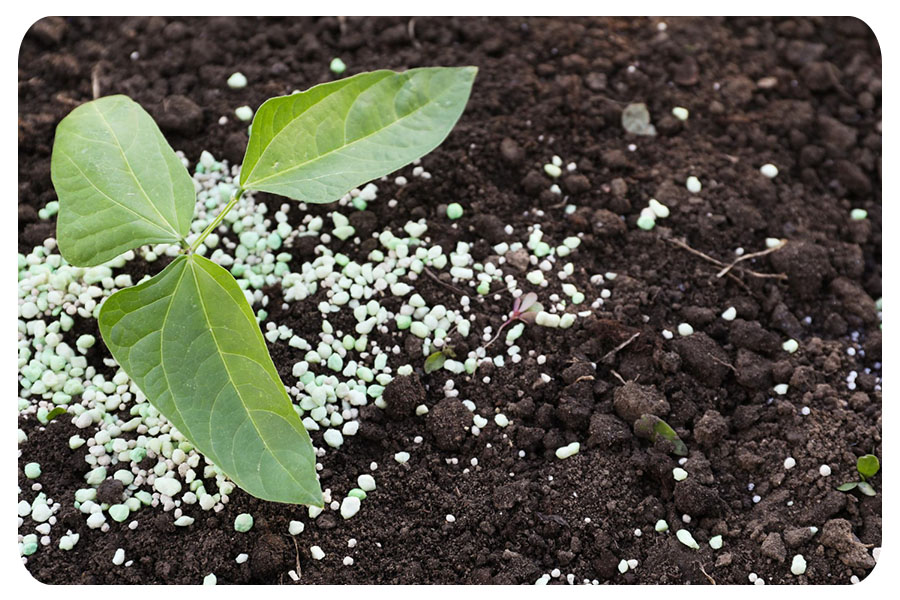granül fertilizers