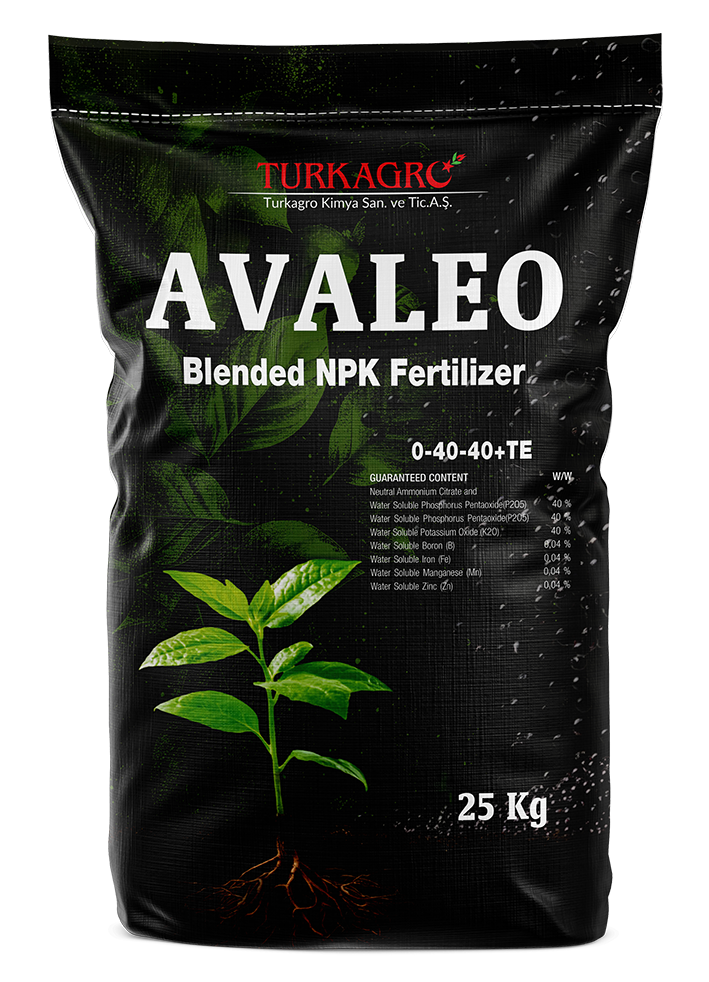 avaleo 0 40 40+te 02