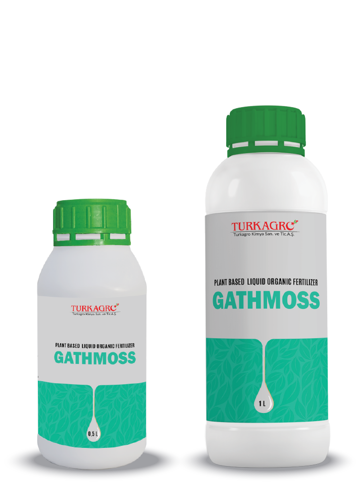 gathmoss 01