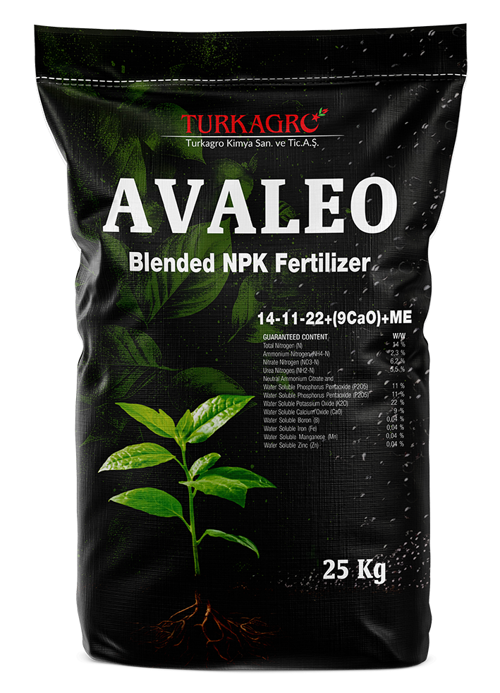 avaleo 14 11 22+te copy