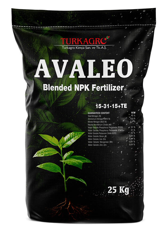 avaleo 15 31 15+te copy