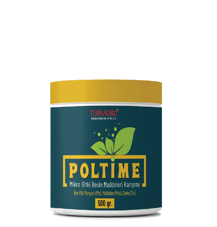 poltime 01