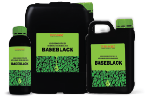 baseblack hepsi 01